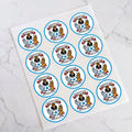 Coventry City Football Club Pre-Cut Icing Sheet