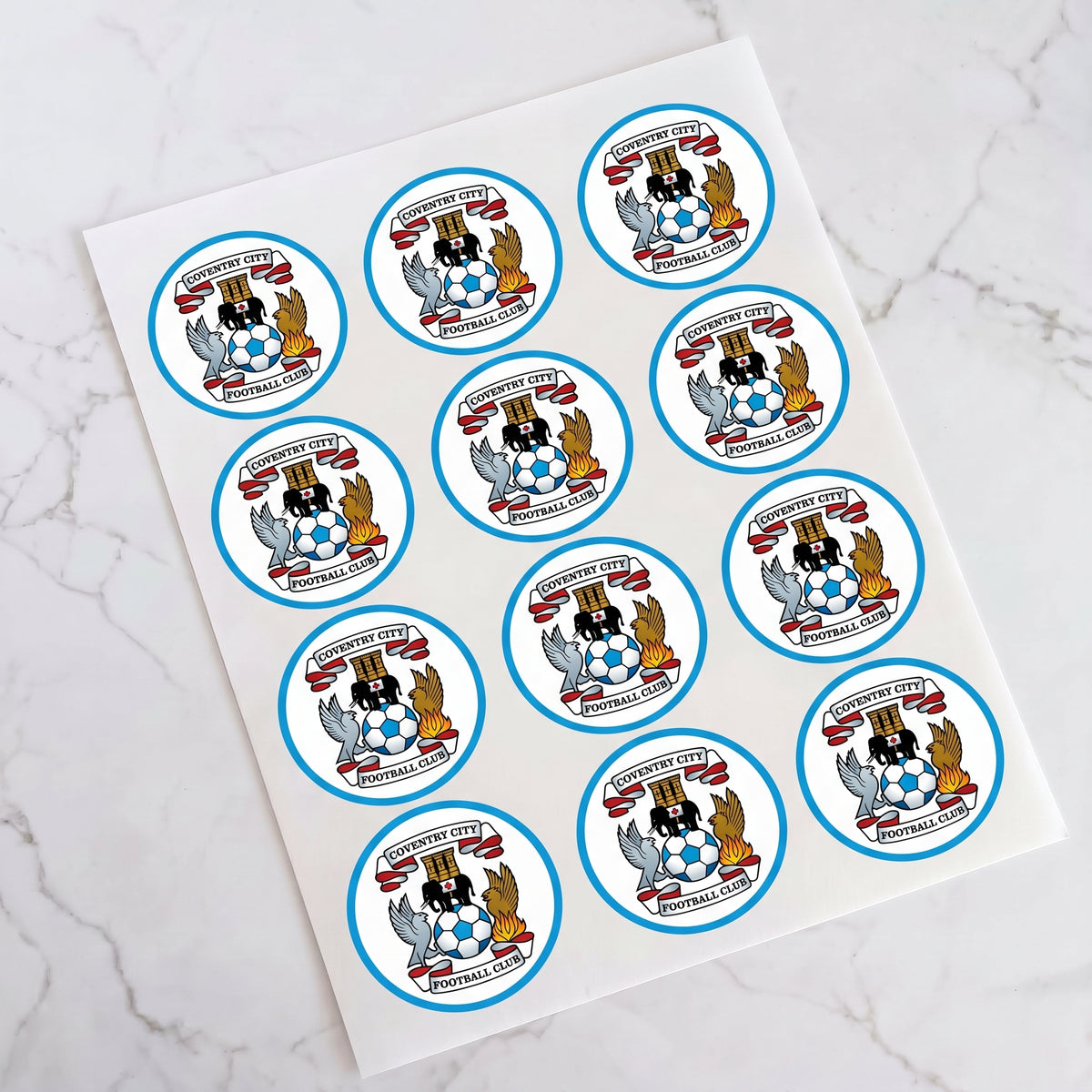 Coventry City Football Club Pre-Cut Icing Sheet