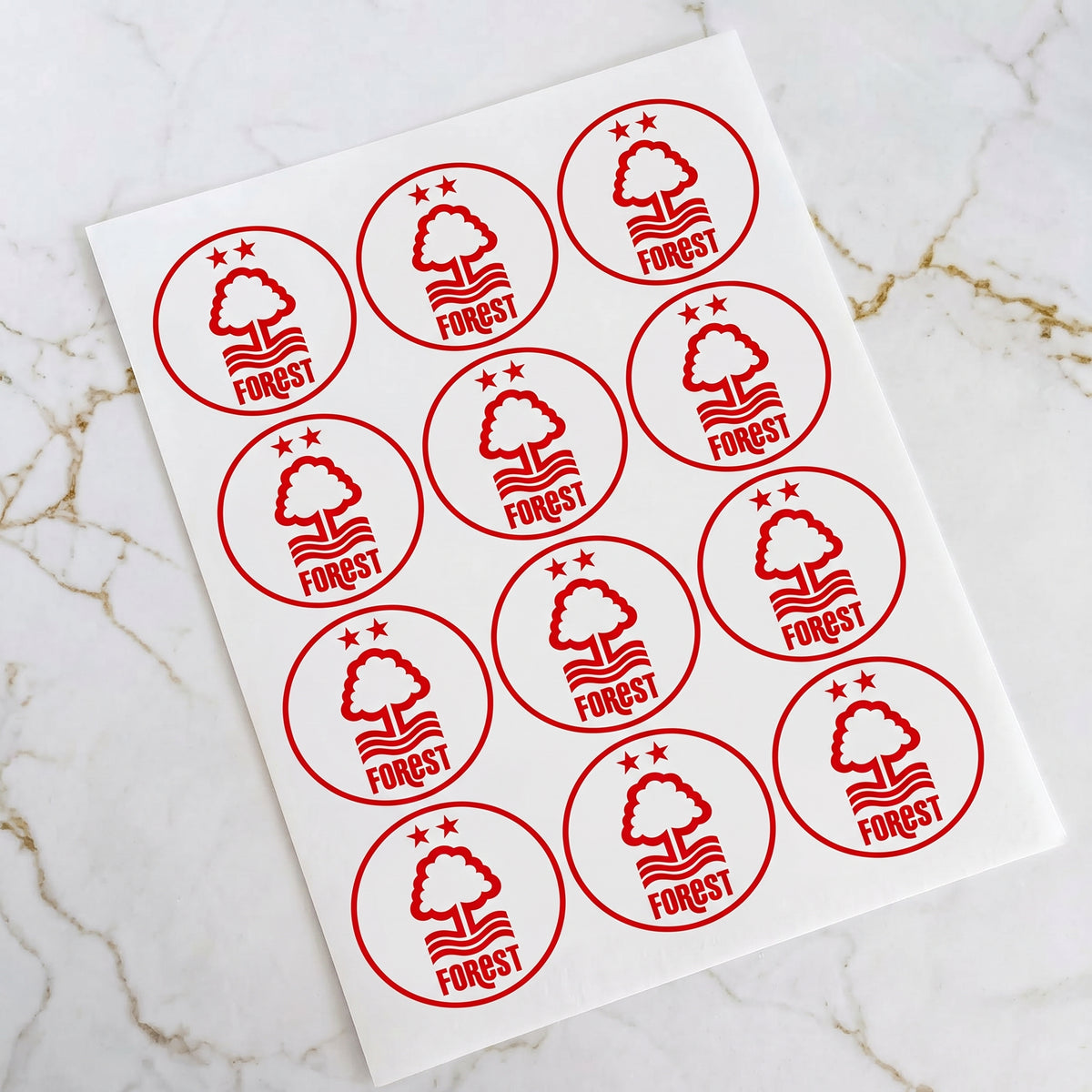 Nottingham Forrest Football Club Pre-Cut Icing Sheet