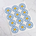 Leicester City Football Club Pre-Cut Icing Sheet
